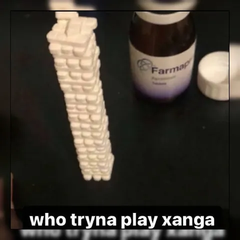 Who Tryna Play Xanga