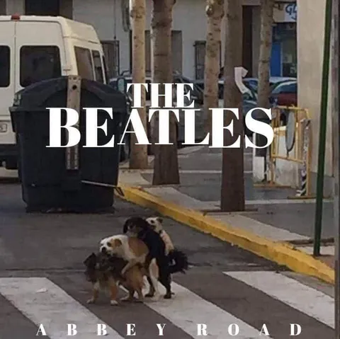 Dogs on Abbey Road