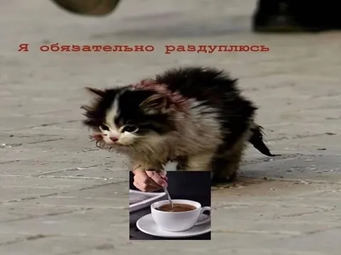 Я обязательно раздуплюсь