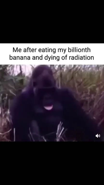 Gorilla Dies After One Billion Bananas