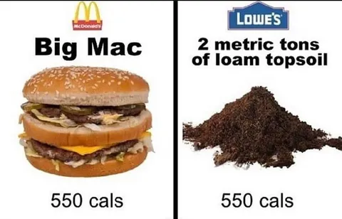 Big Mac Versus Topsoil Calories