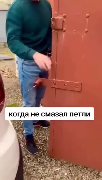 Когда не смазал петли