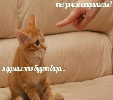 Ты зачем накришжил?