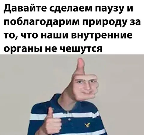 Поблагодарим природу за органы