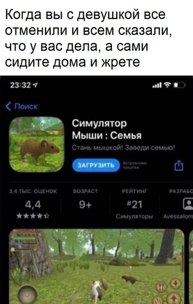 Симулятор мыши: семья