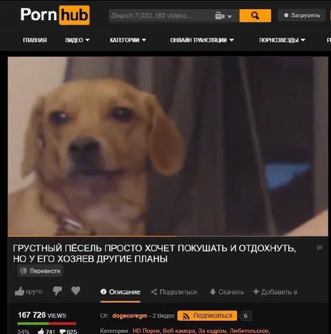 Грустный пёс хочет покушать