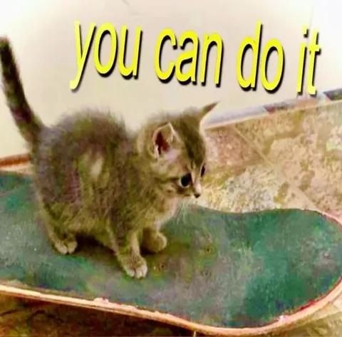 You Can Do It Kitten