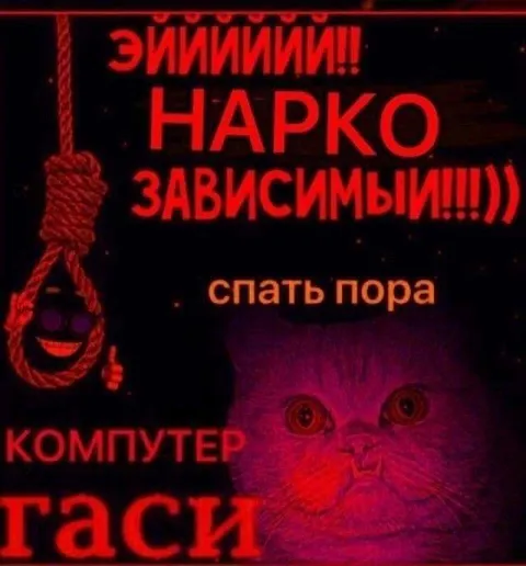 Эй, наркозависимый, спать пора
