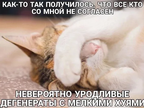 Все несогласные — уродливые дегенераты