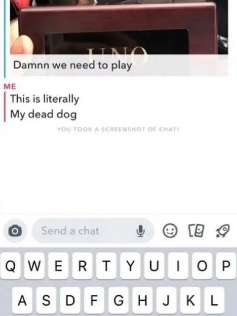 This Is Literally My Dead Dog