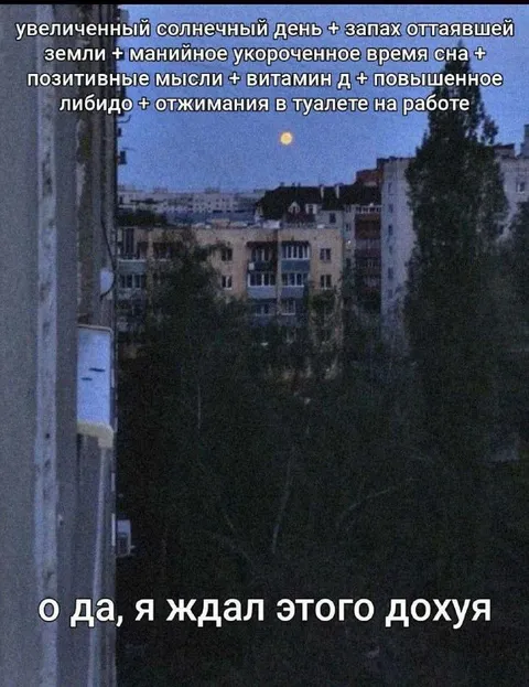 Я ждал этого дохуя