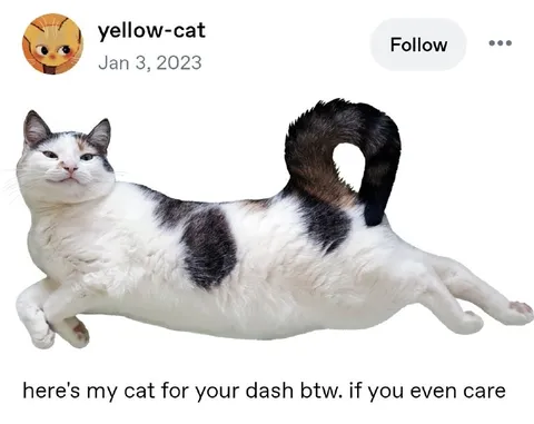 Cat for Your Dash