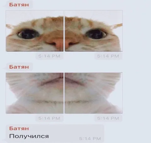 Батьян получился