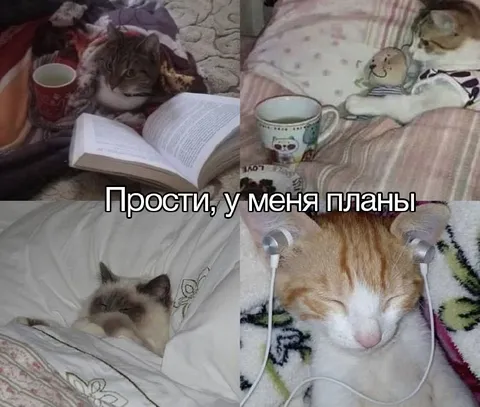 Прости, у меня планы