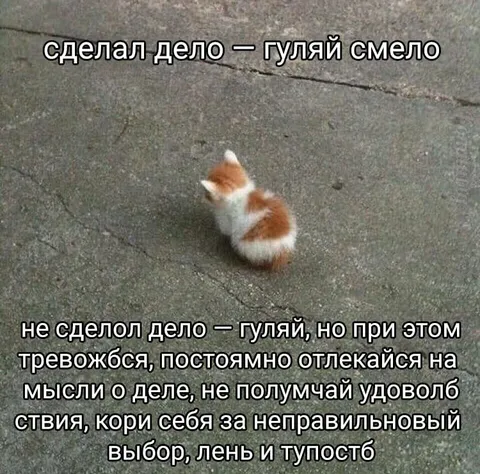 Сделал дело — гуляй смело