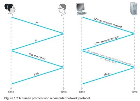 Human Protocol vs Network Protocol