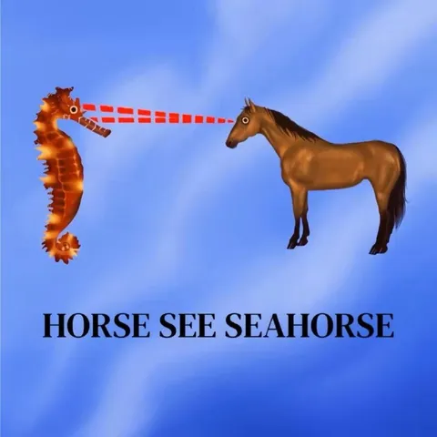Horse Sees Seahorse