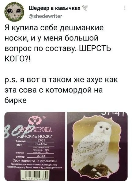 Шерсть кого?!
