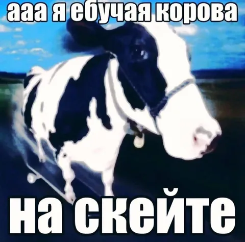 Ебучая корова на скейте