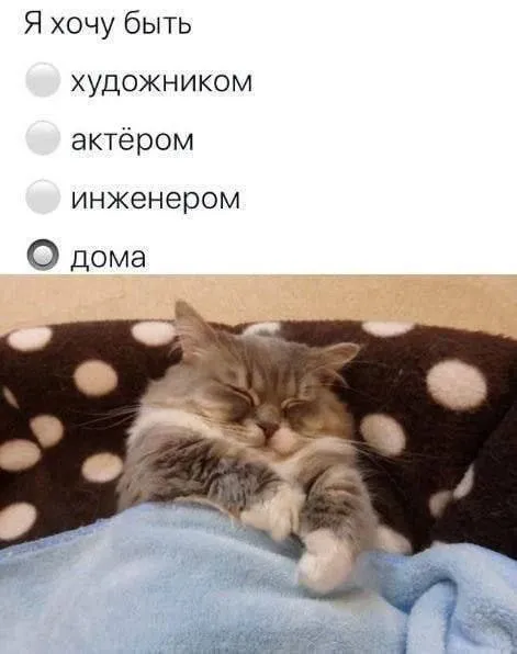 Я хочу быть дома