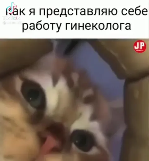 Как я представляю работу гинеколога