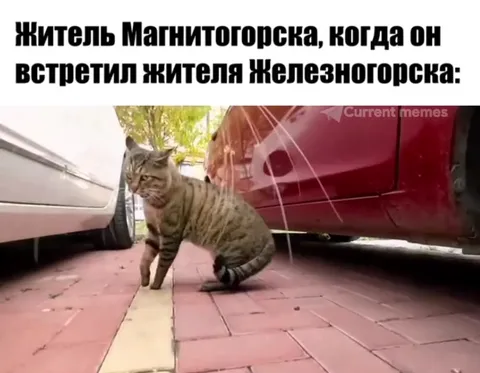Житель Магнитогорска встретил жителя Железногорска
