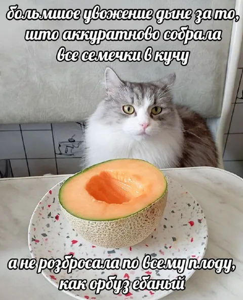 Уважение дыне за семечки