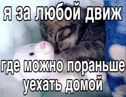 Я за любой движ домой