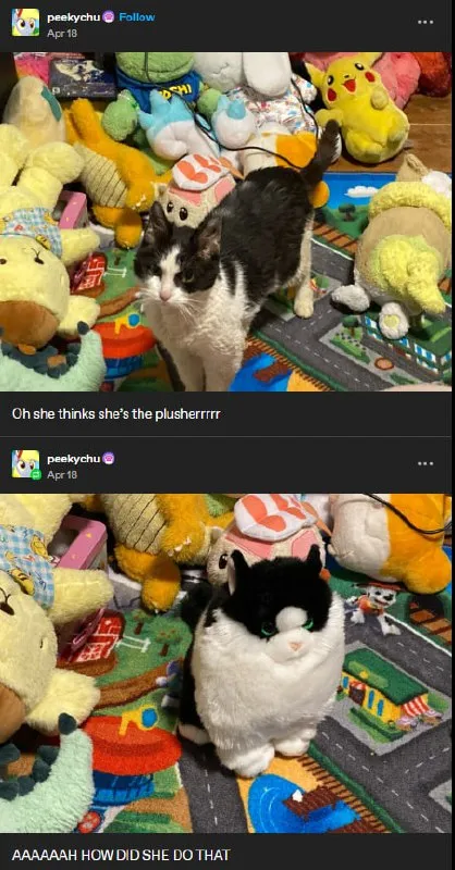 Cat Thinks She’s a Plushie