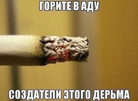 Создатели этого дерьма