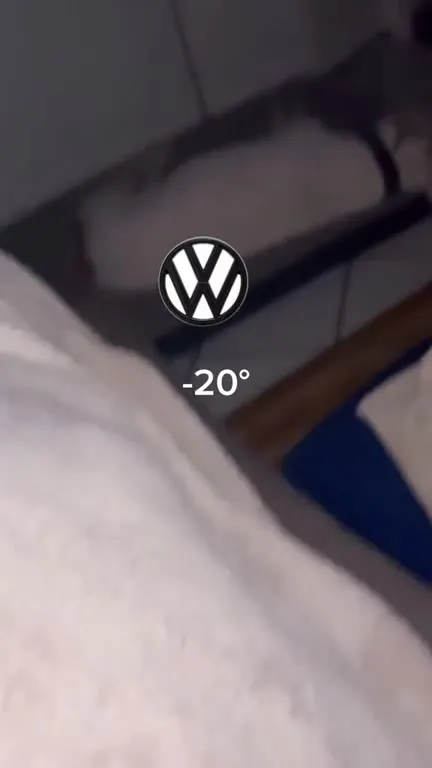 Das Auto bei minus 20 Grad