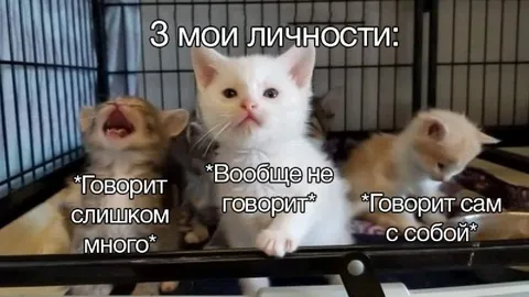 Три мои личности
