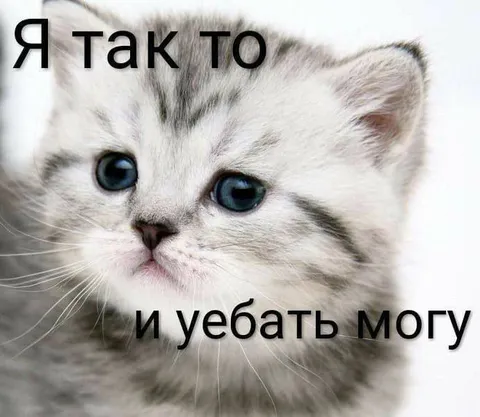 Я так-то и убивать могу