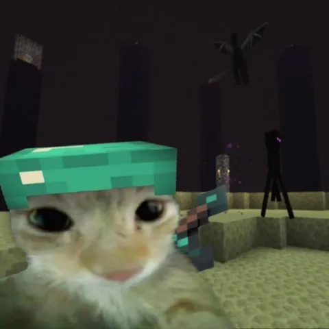 Кот в мире Minecraft