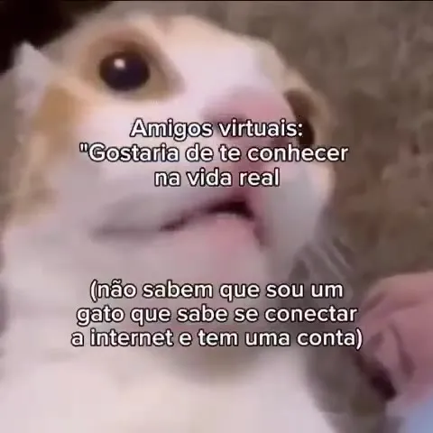Amigos virtuais querem me conhecer