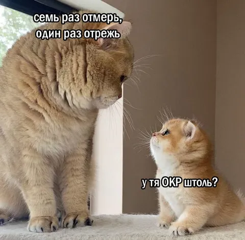 Семь раз отмерь, один раз отрежь