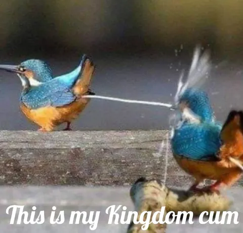 This Is My Kingdom Cum