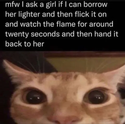 Borrowed Lighter Cat Stare