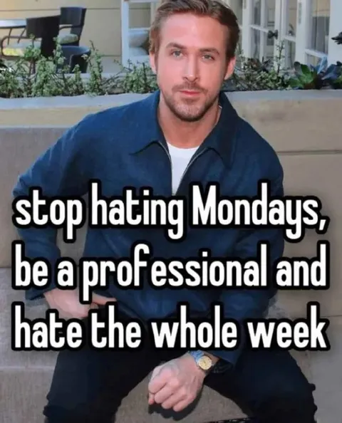Professional Monday Hater