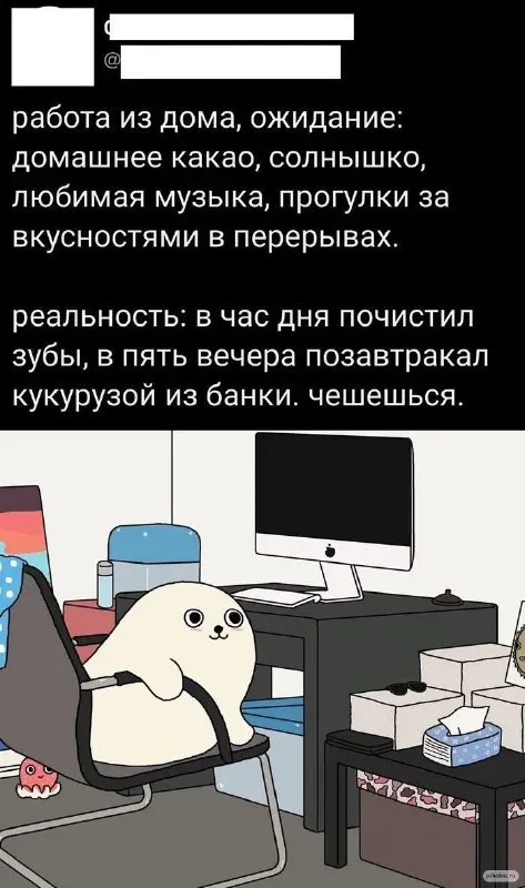 Работа из дома: ожидание и реальность