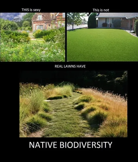 Native Biodiversity Lawn Meme