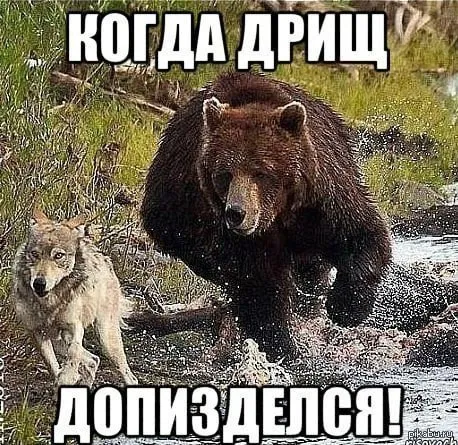 Когда дрищ допизделся
