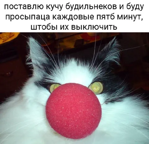 Кот и бесконечные будильники