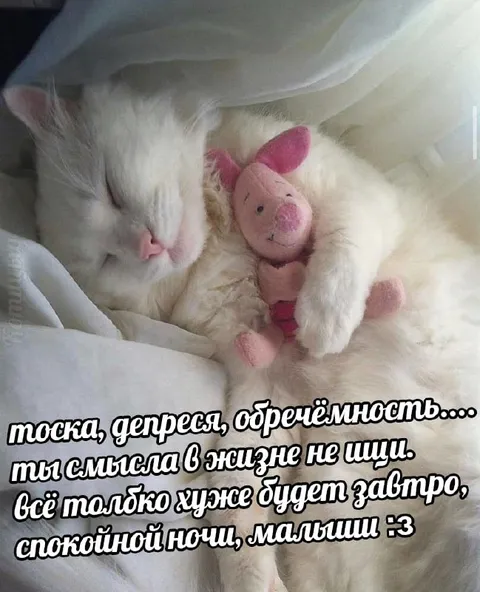 Спокойной ночи, малыши :3