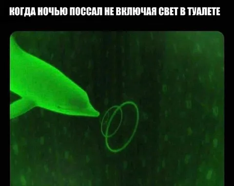 Ночной туалет без света