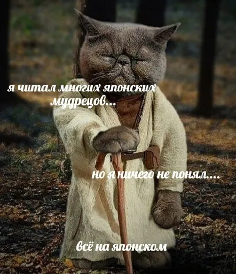 Японские мудрецы ничего не понял