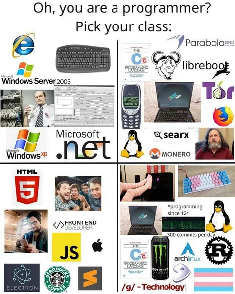 Pick Your Programmer Class