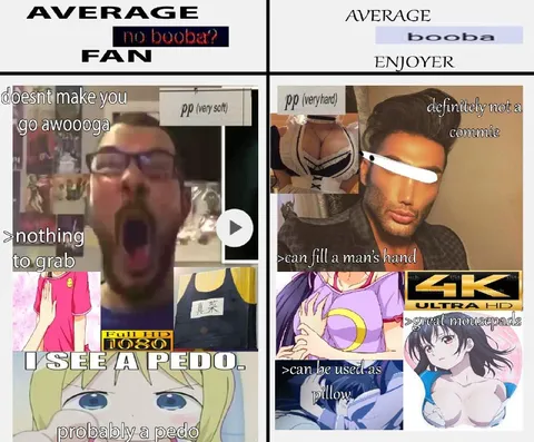 Average Fan vs Average Enjoyer