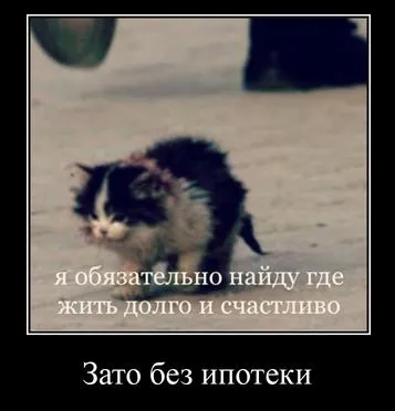 Кот без ипотеки
