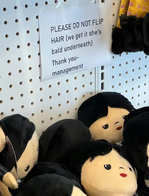 Please Do Not Flip Hair